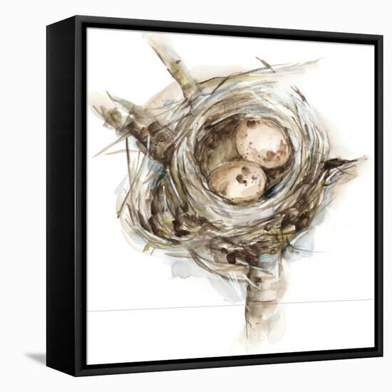 Bird Nest Study I-Ethan Harper-Framed Stretched Canvas