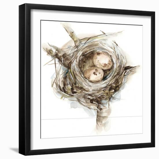 Bird Nest Study I-Ethan Harper-Framed Art Print