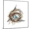 Bird Nest Study II-Ethan Harper-Mounted Art Print