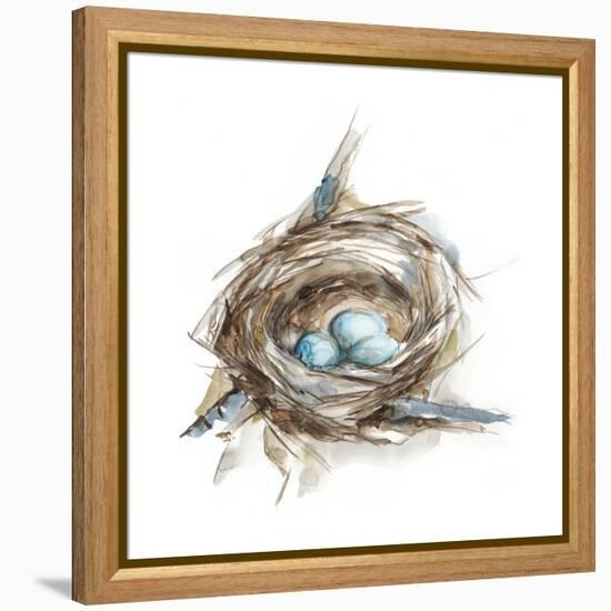 Bird Nest Study II-Ethan Harper-Framed Stretched Canvas