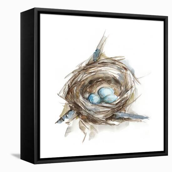 Bird Nest Study II-Ethan Harper-Framed Stretched Canvas