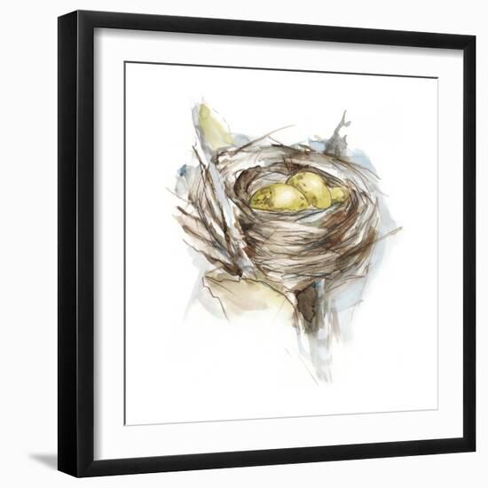 Bird Nest Study III-Ethan Harper-Framed Art Print