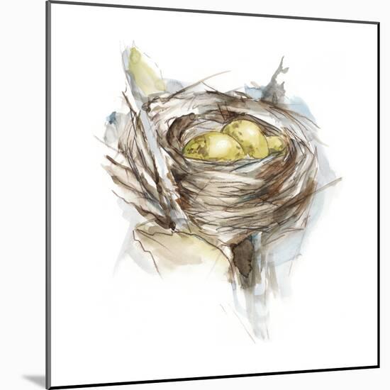 Bird Nest Study III-Ethan Harper-Mounted Art Print