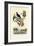 Bird of Paradise, 1833-39-null-Framed Giclee Print