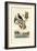 Bird of Paradise, 1833-39-null-Framed Giclee Print