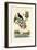 Bird of Paradise, 1833-39-null-Framed Premium Giclee Print