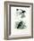 Bird of Paradise, 1864-null-Framed Giclee Print