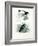 Bird of Paradise, 1864-null-Framed Giclee Print