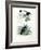 Bird of Paradise, 1864-null-Framed Giclee Print