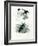 Bird of Paradise, 1864-null-Framed Giclee Print