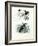 Bird of Paradise, 1864-null-Framed Giclee Print