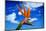 Bird of Paradise flower or Strelitzia reginae, Costa del Sol, Malaga Province, Andalucia, Spain-Panoramic Images-Mounted Photographic Print