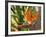 Bird-of-Paradise Flower, Sunshine Coast, Queensland, Australia-David Wall-Framed Photographic Print