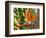 Bird-of-Paradise Flower, Sunshine Coast, Queensland, Australia-David Wall-Framed Photographic Print