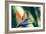 Bird of Paradise Flower-Maria Mosolova-Framed Photographic Print