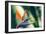 Bird of Paradise Flower-Maria Mosolova-Framed Photographic Print