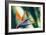 Bird of Paradise Flower-Maria Mosolova-Framed Photographic Print