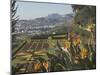 Bird of Paradise Flowers, Botanical Gardens, Funchal, Madeira, Portugal, Atlantic, Europe-James Emmerson-Mounted Photographic Print