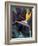 Bird of Paradise, Hawaii, USA-Merrill Images-Framed Photographic Print