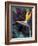 Bird of Paradise, Hawaii, USA-Merrill Images-Framed Photographic Print