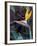 Bird of Paradise, Hawaii, USA-Merrill Images-Framed Photographic Print