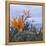 Bird of Paradise I-Rita Crane-Framed Premier Image Canvas