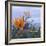 Bird of Paradise I-Rita Crane-Framed Photographic Print