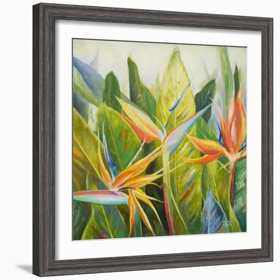 Bird of Paradise I-Patricia Pinto-Framed Art Print