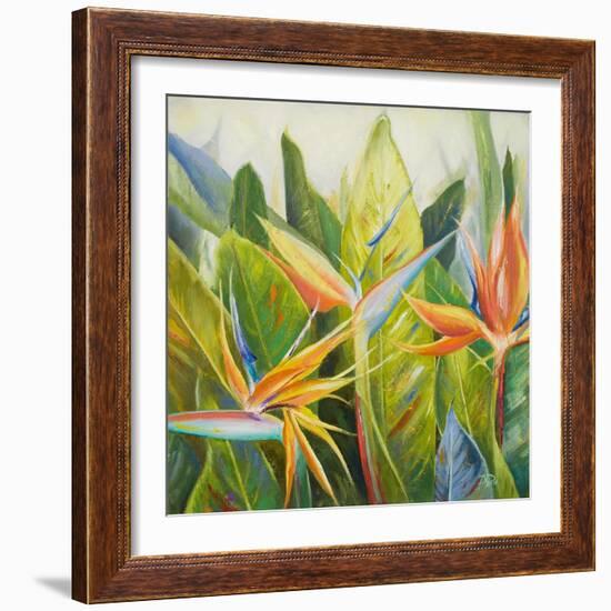 Bird of Paradise I-Patricia Pinto-Framed Art Print