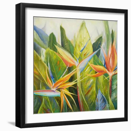 Bird of Paradise I-Patricia Pinto-Framed Art Print