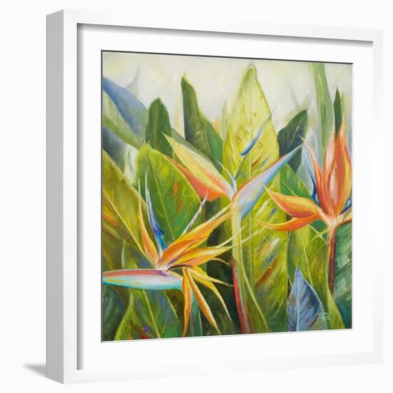 Bird of Paradise I-Patricia Pinto-Framed Art Print