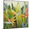 Bird of Paradise I-Patricia Pinto-Mounted Art Print