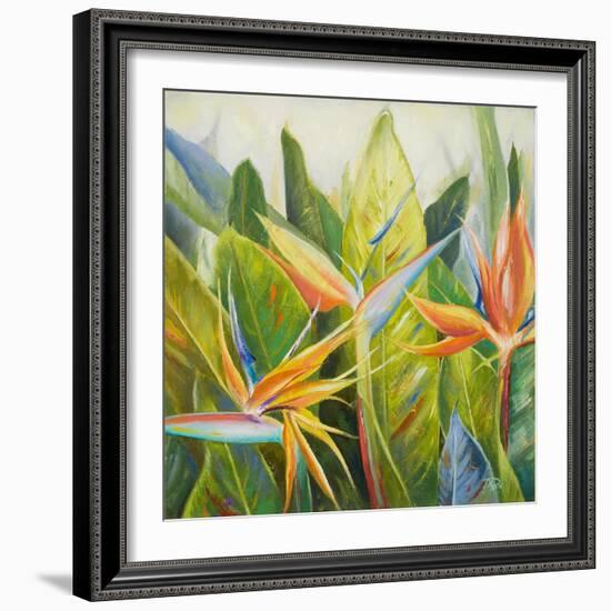 Bird of Paradise I-Patricia Pinto-Framed Art Print