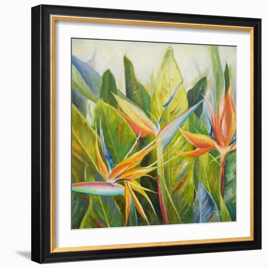 Bird of Paradise I-Patricia Pinto-Framed Art Print