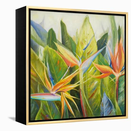 Bird of Paradise I-Patricia Pinto-Framed Stretched Canvas