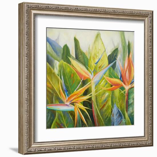 Bird of Paradise I-Patricia Pinto-Framed Art Print