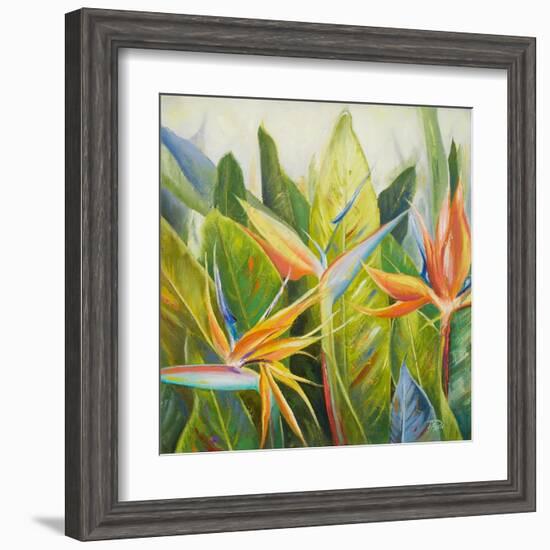 Bird of Paradise I-Patricia Pinto-Framed Art Print