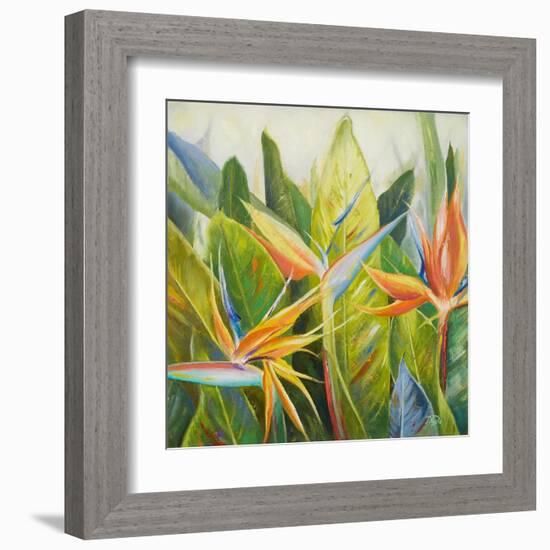 Bird of Paradise I-Patricia Pinto-Framed Art Print