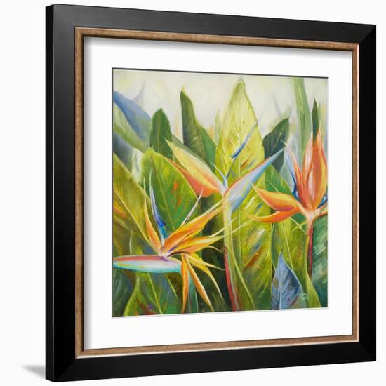 Bird of Paradise I-Patricia Pinto-Framed Art Print