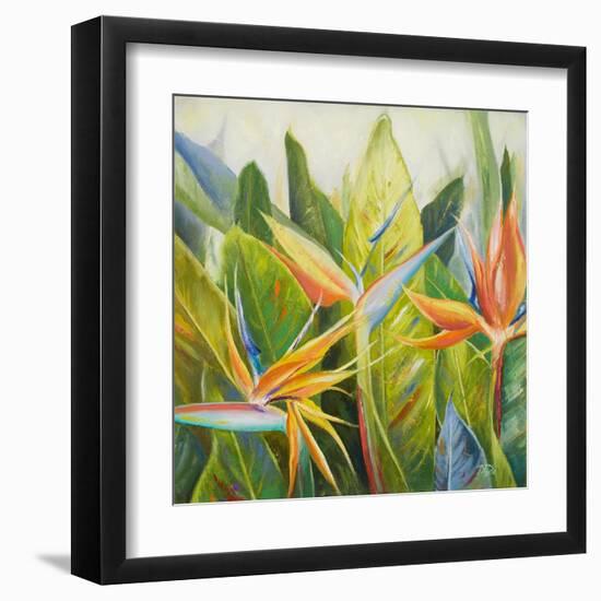 Bird of Paradise I-Patricia Pinto-Framed Art Print