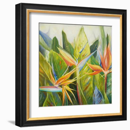 Bird of Paradise I-Patricia Pinto-Framed Art Print