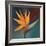 Bird of Paradise I-Vivien Rhyan-Framed Premium Giclee Print