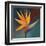 Bird of Paradise I-Vivien Rhyan-Framed Art Print