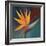 Bird of Paradise I-Vivien Rhyan-Framed Art Print