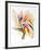 Bird of Paradise II-Vick Vibha-Framed Collectable Print