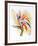 Bird of Paradise II-Vick Vibha-Framed Collectable Print