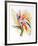 Bird of Paradise II-Vick Vibha-Framed Collectable Print