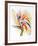 Bird of Paradise II-Vick Vibha-Framed Collectable Print