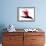 Bird of Paradise II-Monika Burkhart-Framed Photographic Print displayed on a wall