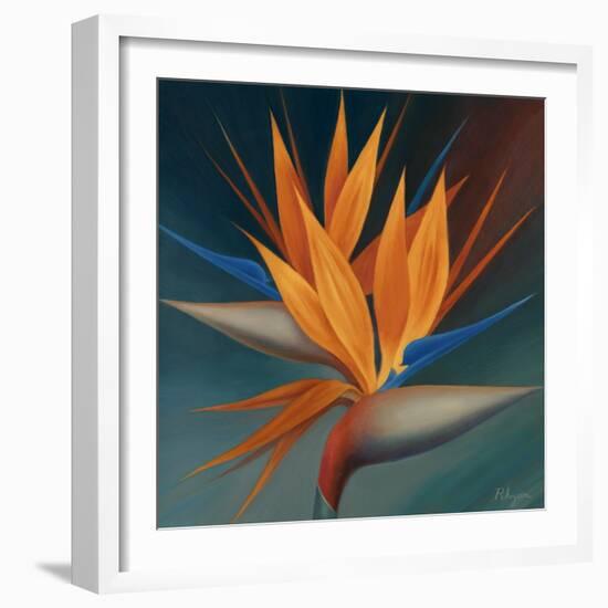Bird of Paradise II-Vivien Rhyan-Framed Art Print